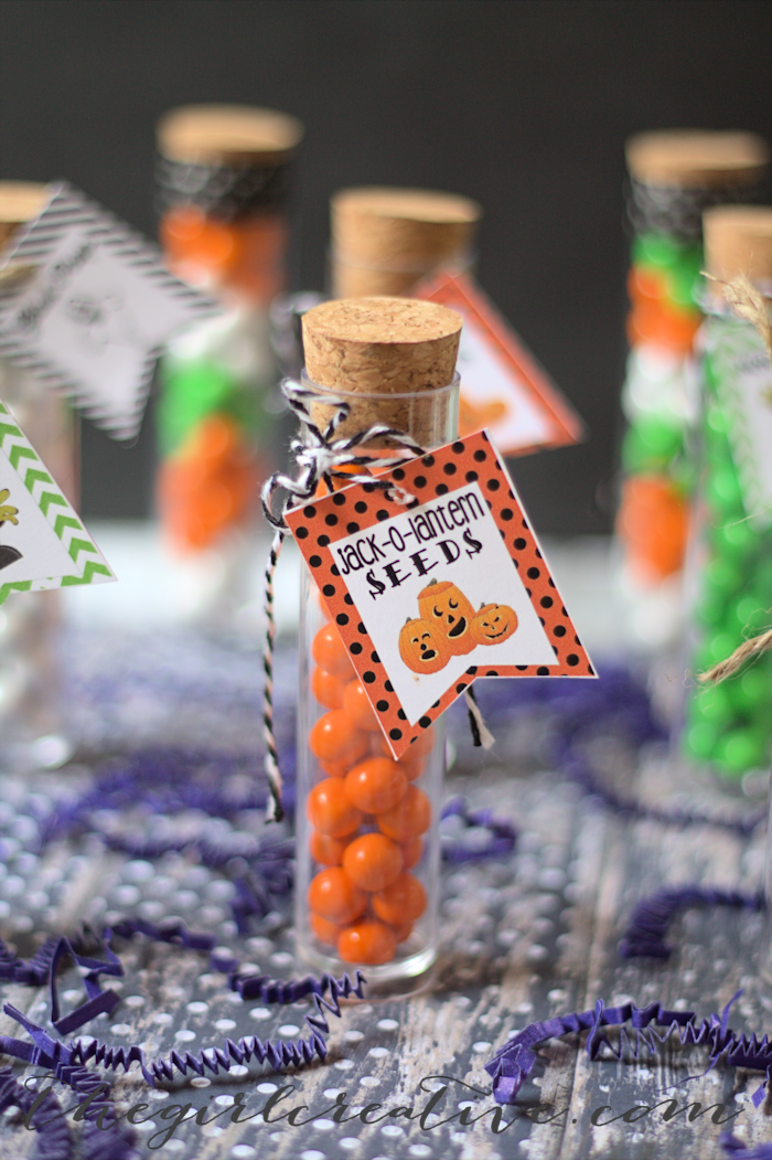 Halloween Test Tube Party Favors - The Girl Creative